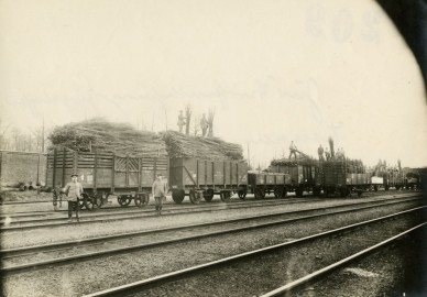 Z39820 - Hg chargés de fagots pour le front - Gent-Zuid - 1915-1916 - Melle - Beelbank Gent Collection.jpg